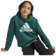 Adidas Παιδικές φόρμες σετ Essentials Big Logo Fleece Tracksuit